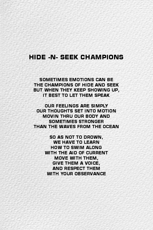 Hide N Seek Champions